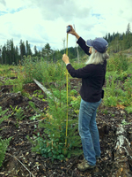 Measuring Plant